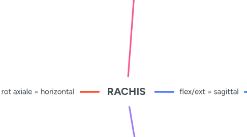 Mind Map: RACHIS