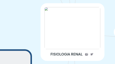 Mind Map: FISIOLOGIA RENAL