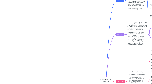 Mind Map: global issues in Indonesia
