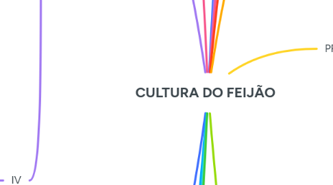 Mind Map: CULTURA DO FEIJÃO