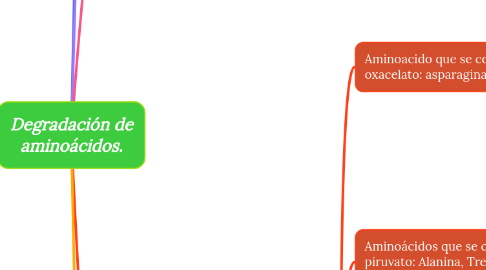 Mind Map: Degradación de aminoácidos.