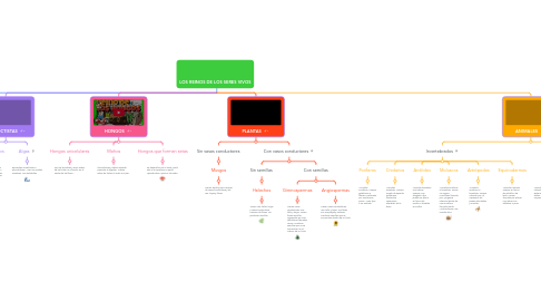 Mind Map: LOS REINOS DE LOS SERES VIVOS