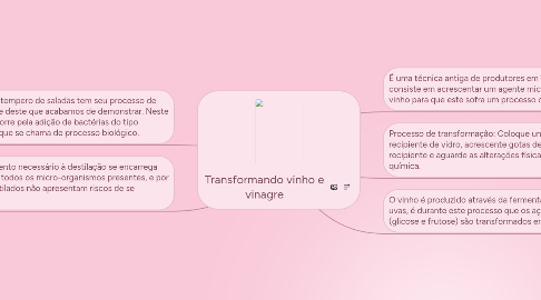 Mind Map: Transformando vinho e vinagre
