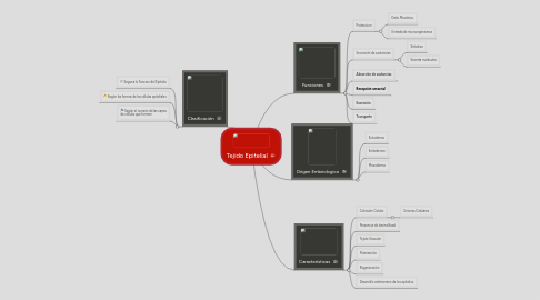 Mind Map: Tejido Epitelial