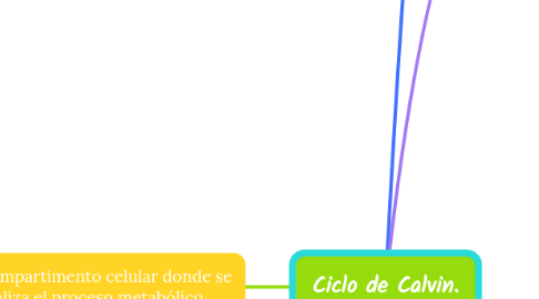Mind Map: Ciclo de Calvin.