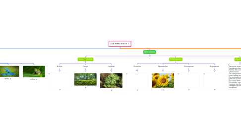 Mind Map: LOS SERES VIVOS