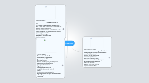 Mind Map: Los Homínidos