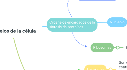 Mind Map: Organelos de la célula
