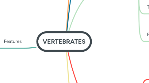 Mind Map: VERTEBRATES