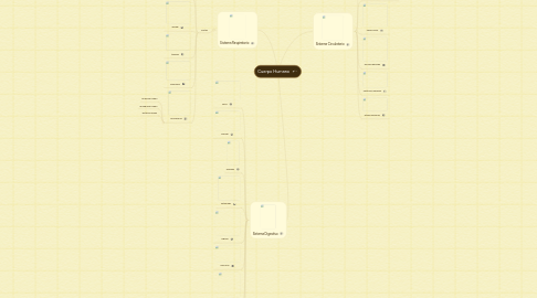 Mind Map: Cuerpo Humano