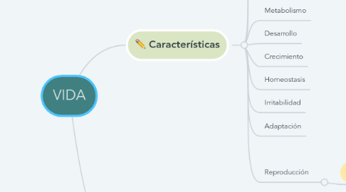 Mind Map: VIDA
