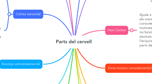 Mind Map: Parts del cervell