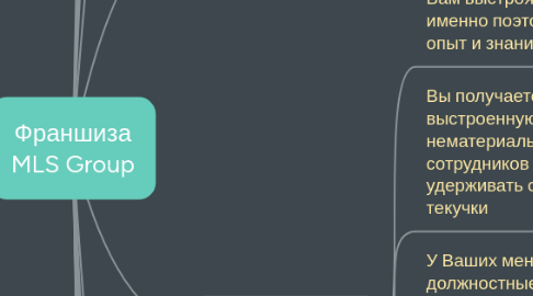 Mind Map: Франшиза MLS Group
