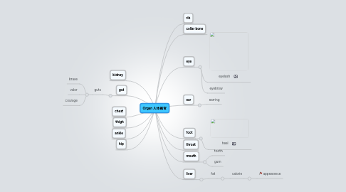 Mind Map: Organ 人体器官