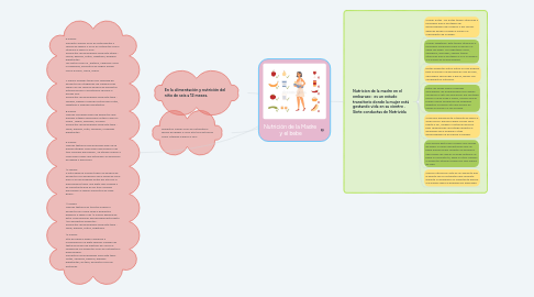 Mind Map: Nutrición de la Madre  y el bebe