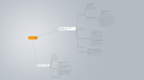 Mind Map: Regulamin