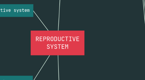 Mind Map: REPRODUCTIVE SYSTEM