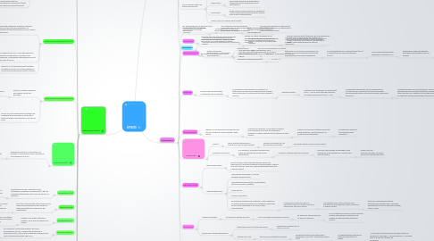 Mind Map: LIPIDOS