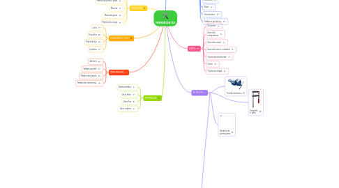 Mind Map: HERRAMIENTAS
