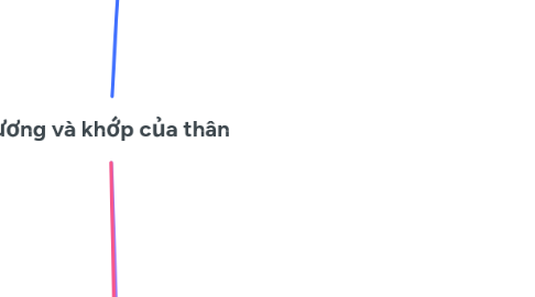 Mind Map: Xương và khớp của thân