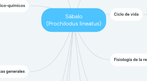 Mind Map: Sábalo (Prochilodus lineatus)