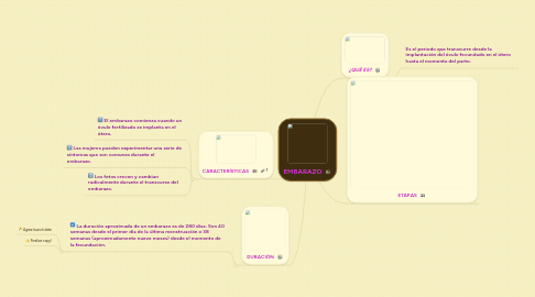 Mind Map: EMBARAZO