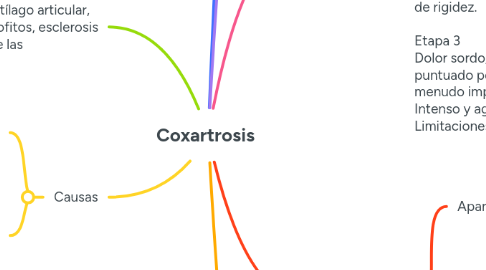 Mind Map: Coxartrosis