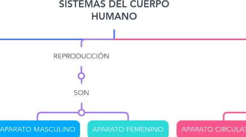 Mind Map: SISTEMAS DEL CUERPO HUMANO