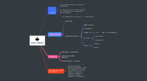 Mind Map: REINO MONERAS