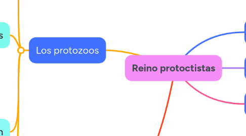 Mind Map: Reino protoctistas