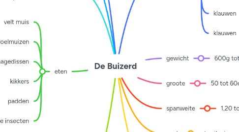 Mind Map: De Buizerd