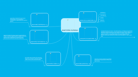 Mind Map: ANATOMÍA HUMANA