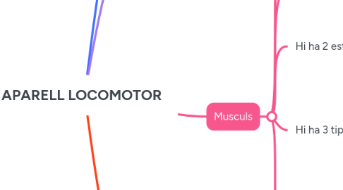 Mind Map: APARELL LOCOMOTOR