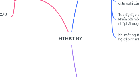 Mind Map: HTHKT B7