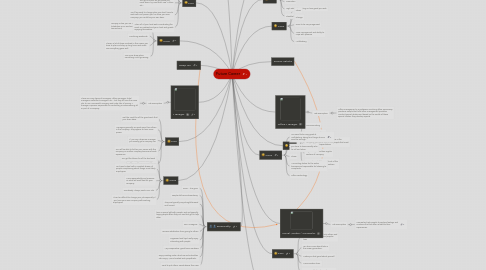 Mind Map: Future Career