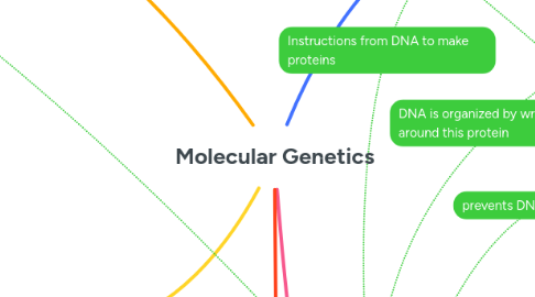 Mind Map: Molecular Genetics