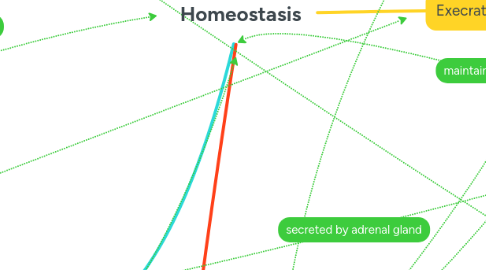 Mind Map: Homeostasis