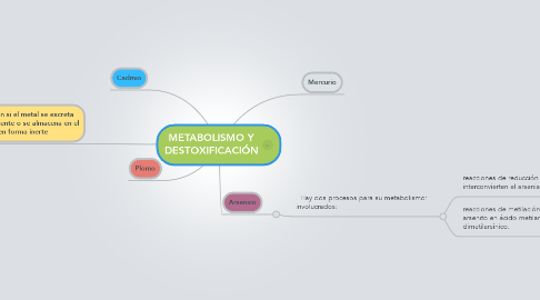 Mind Map: METABOLISMO Y DESTOXIFICACIÓN