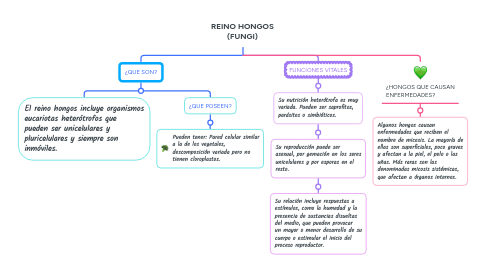Mind Map: REINO HONGOS (FUNGI)