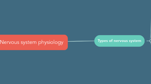 Mind Map: Nervous system physiology