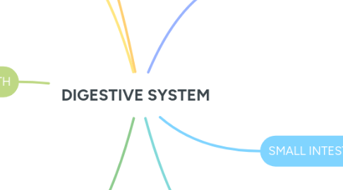 Mind Map: DIGESTIVE SYSTEM