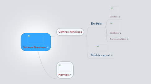 Mind Map: Sistema Nervioso