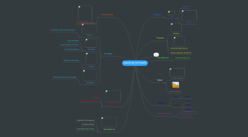 Mind Map: Creación de un Producto