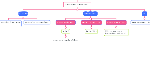 Mind Map: LOS HONGOS.