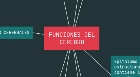 Mind Map: FUNCIONES DEL CEREBRO