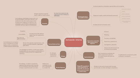 Mind Map: Evaluación Interna