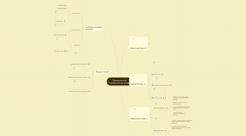 Mind Map: Mecanismos de Transducción de Señales