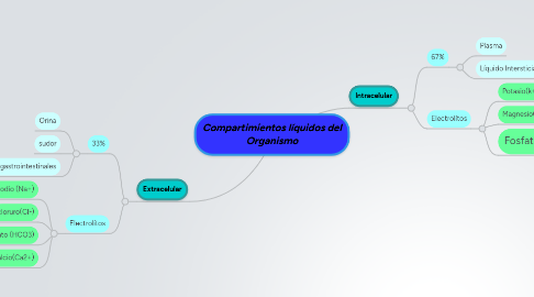 Mind Map: Compartimientos líquidos del Organismo