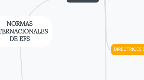 Mind Map: NORMAS INTERNACIONALES DE EFS