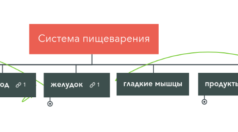 Mind Map: Система пищеварения